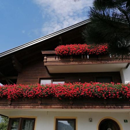 Barschtlerhof Apartment Axams Exterior foto